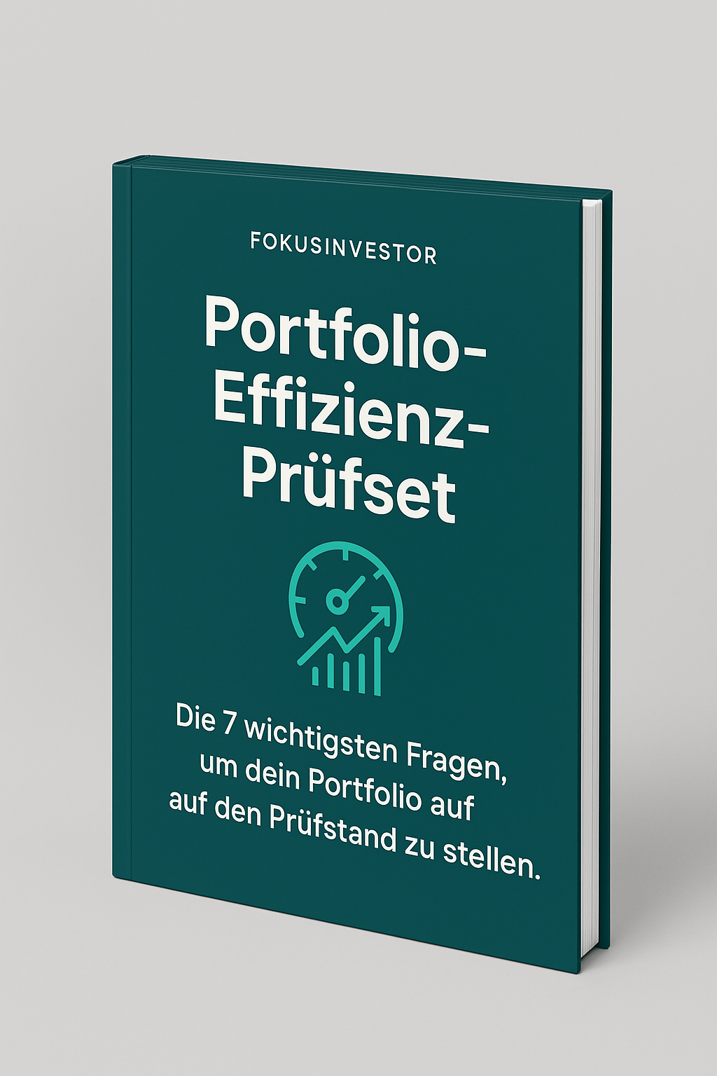 Portfolio-Effizienz-Prüfset – Beispielcover